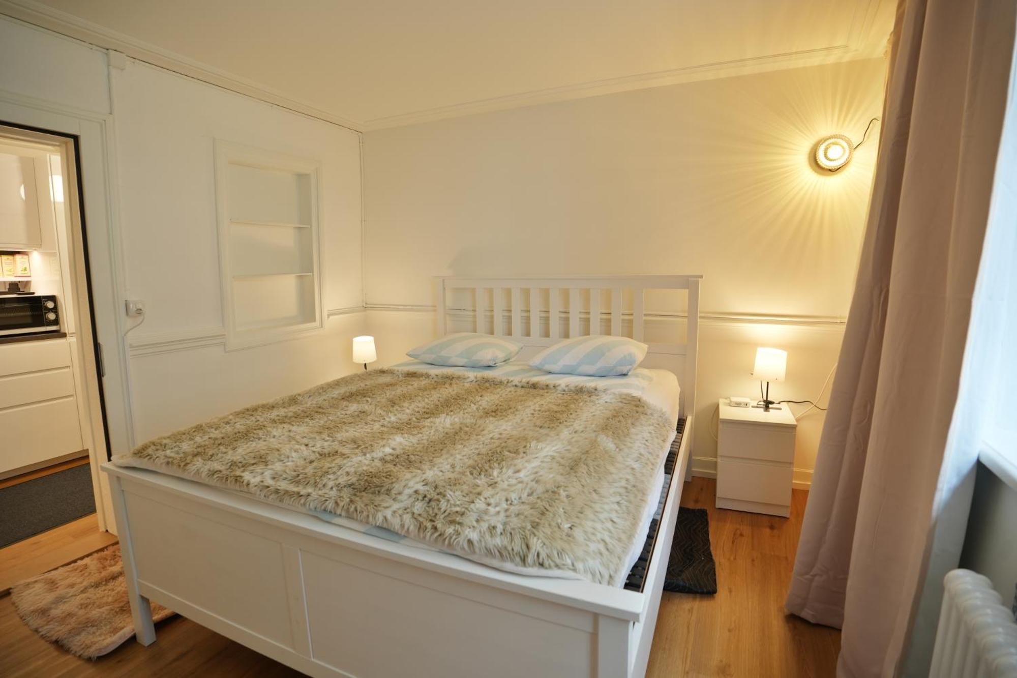 Cozy City Center, 4 Bedroom- 120Sq, 5Min Walk To Main Station Basilea Exterior foto